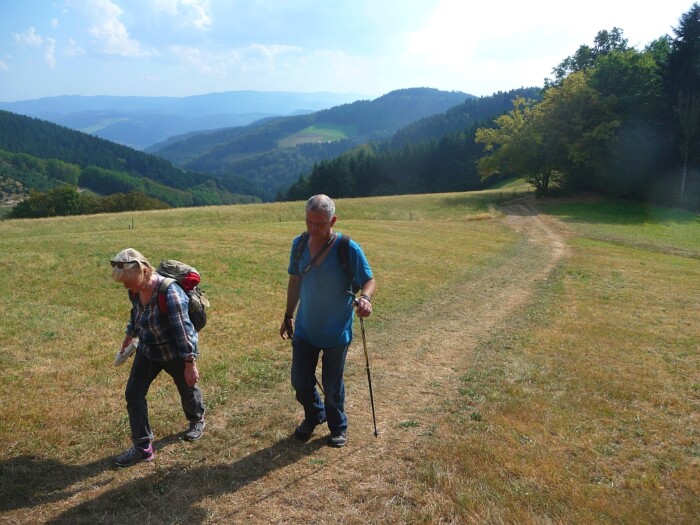 Schritt für Schritt zum Horizont - Pilgern für Aufsteiger