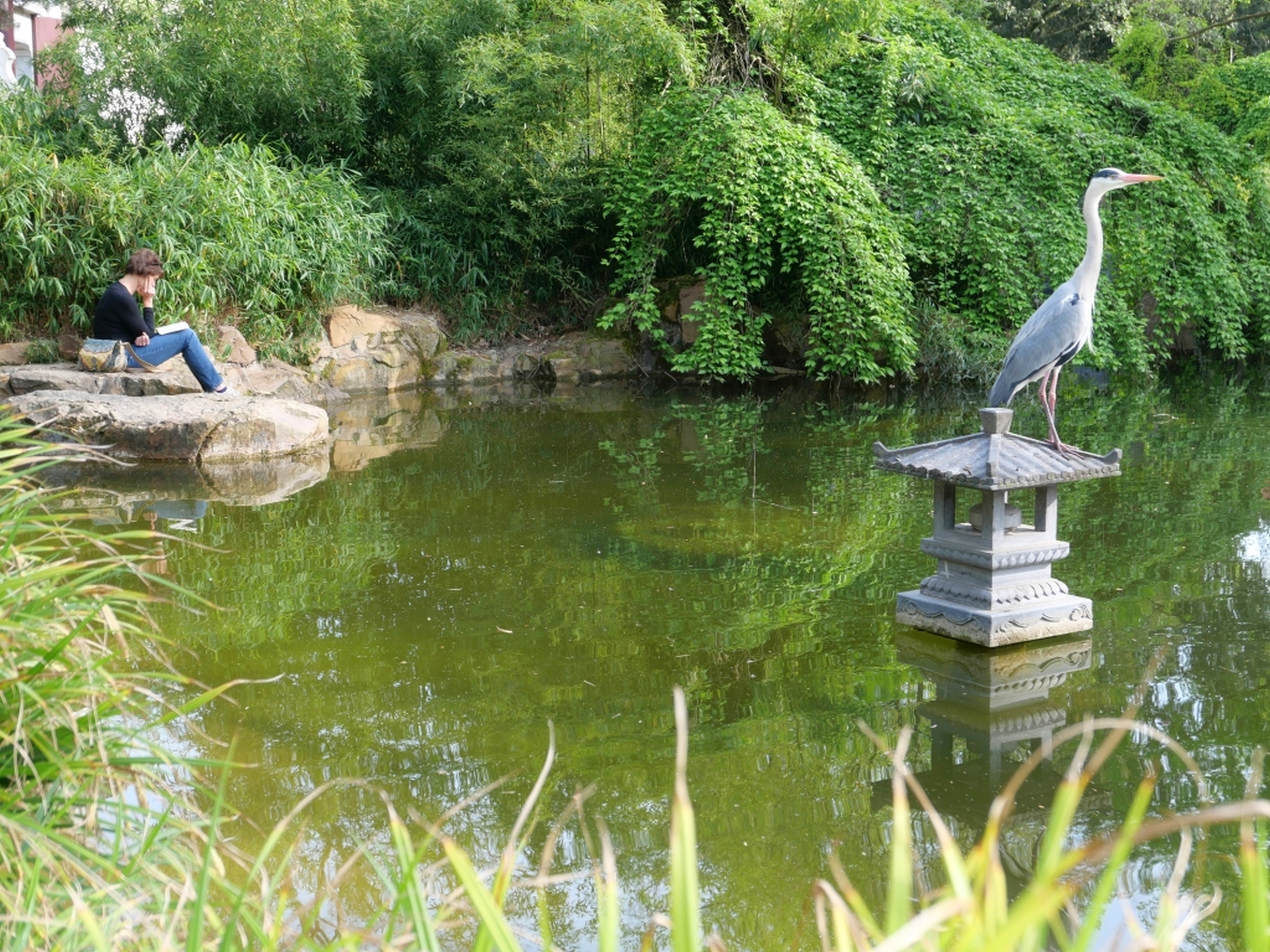 Chinesischer Garten - Foto aus dem Band "Stilles Frankfurt" von Georg Magirius