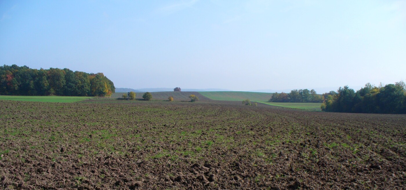 Geborgenheit im Burgenland