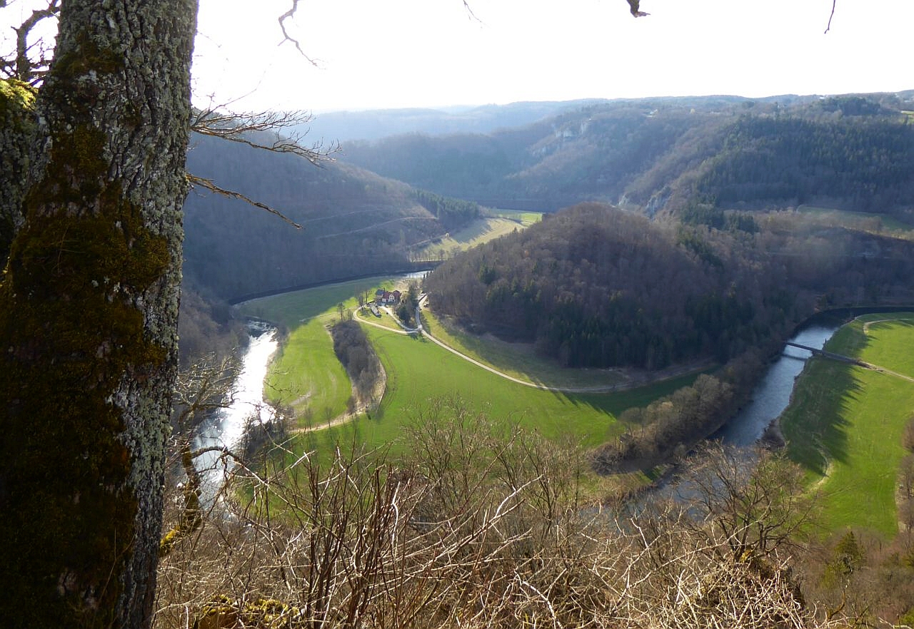 Roman vom Paradies